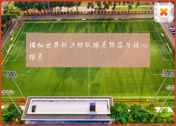 揭秘世界杯沙特队球员阵容与核心球员
