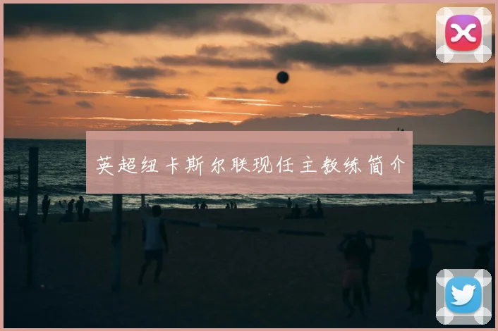 英超纽卡斯尔联现任主教练简介