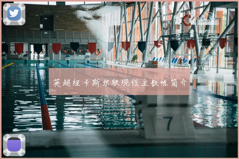 英超纽卡斯尔联现任主教练简介