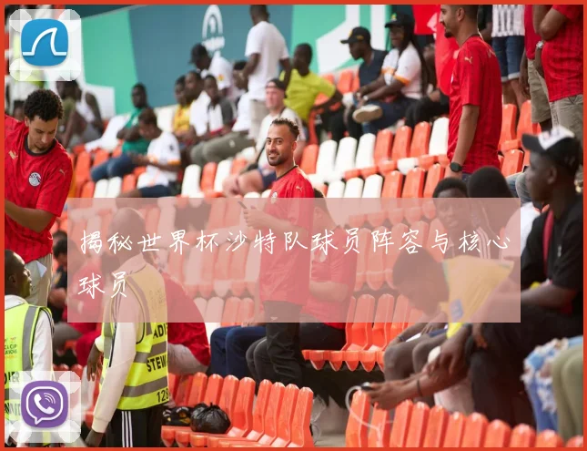 揭秘世界杯沙特队球员阵容与核心球员